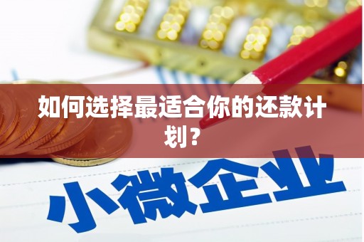 武陵源如何选择最适合你的还款计划？