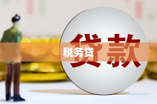 武陵源税务贷