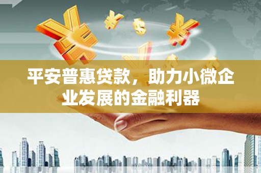 武陵源平安普惠贷款，助力小微企业发展的金融利器