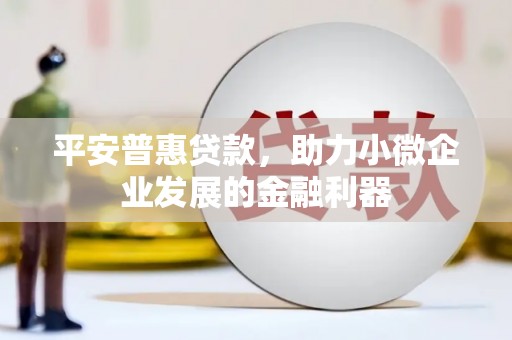 武陵源平安普惠贷款，助力小微企业发展的金融利器