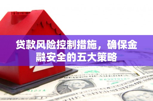 武陵源贷款风险控制措施，确保金融安全的五大策略