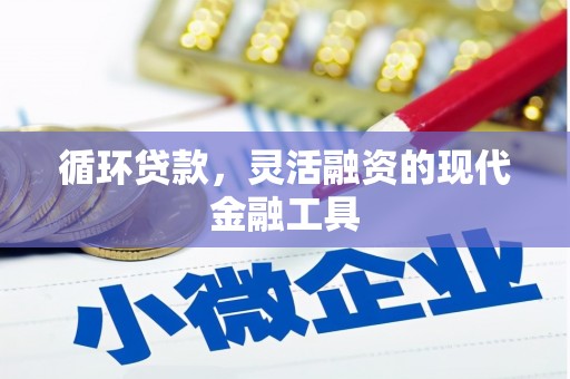 武陵源循环贷款，灵活融资的现代金融工具