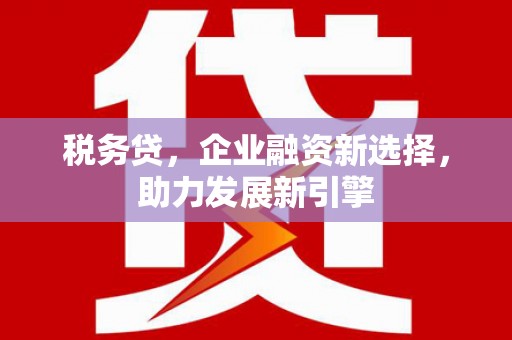 武陵源税务贷，企业融资新选择，助力发展新引擎