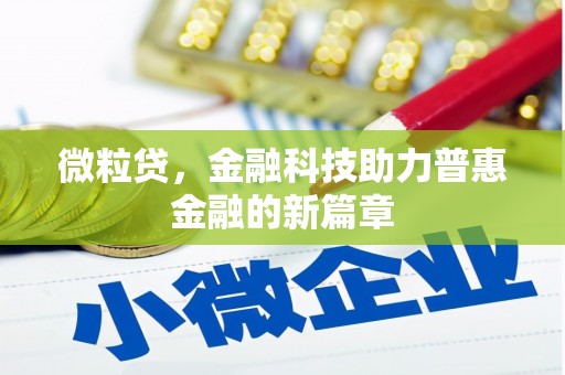 武陵源微粒贷，金融科技助力普惠金融的新篇章