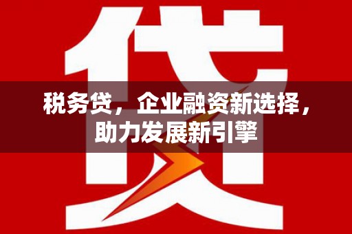 武陵源税务贷，企业融资新选择，助力发展新引擎