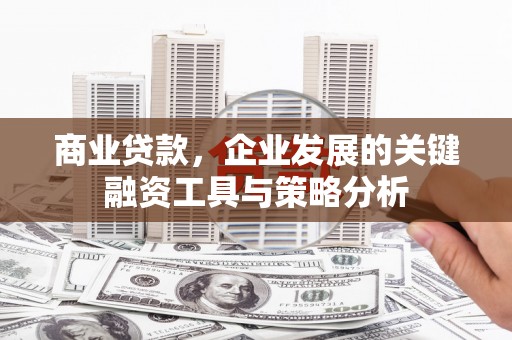 武陵源商业贷款，企业发展的关键融资工具与策略分析