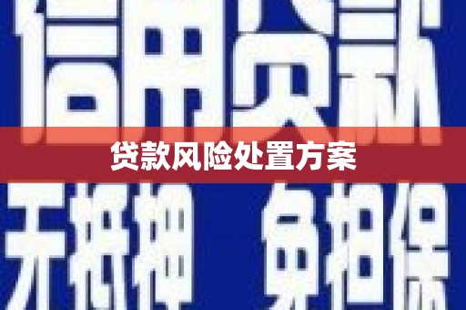武陵源贷款风险处置方案