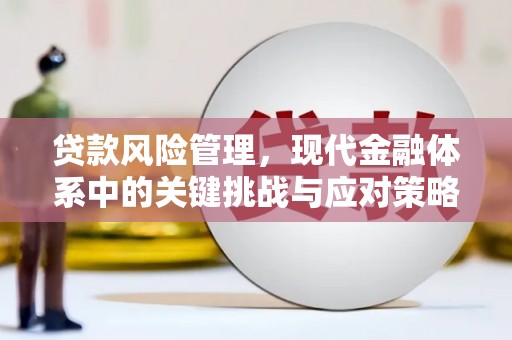 武陵源贷款风险管理，现代金融体系中的关键挑战与应对策略