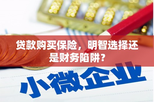 武陵源贷款购买保险，明智选择还是财务陷阱？