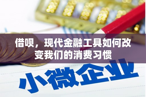 武陵源借呗，现代金融工具如何改变我们的消费习惯