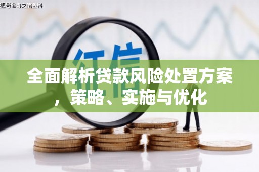 武陵源全面解析贷款风险处置方案，策略、实施与优化