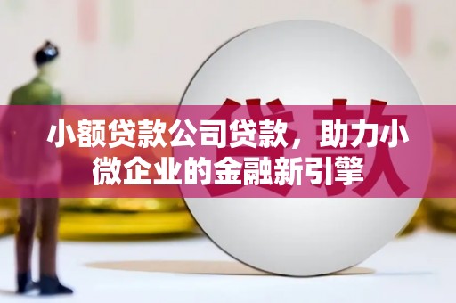 武陵源小额贷款公司贷款，助力小微企业的金融新引擎