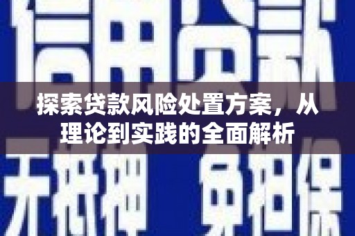 武陵源探索贷款风险处置方案，从理论到实践的全面解析