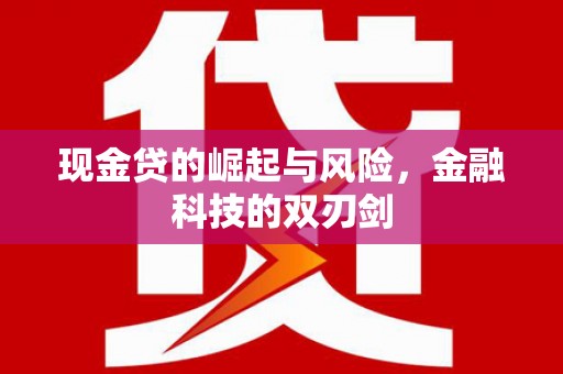 武陵源现金贷的崛起与风险，金融科技的双刃剑