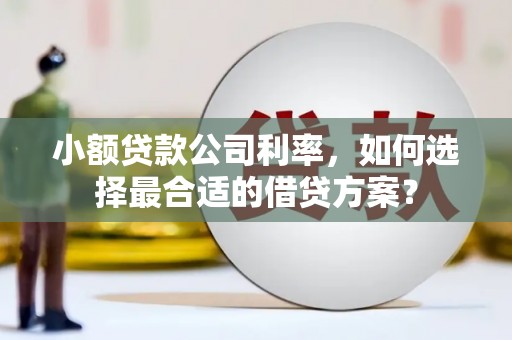 武陵源小额贷款公司利率，如何选择最合适的借贷方案？