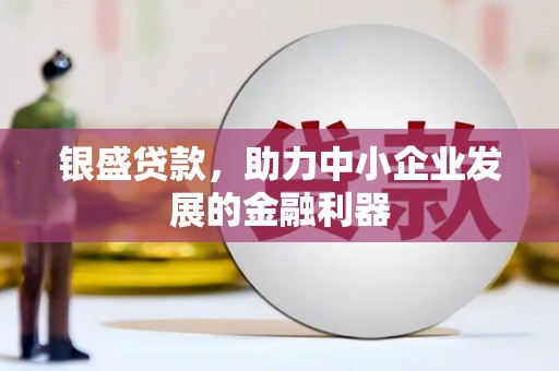 武陵源银盛贷款，助力中小企业发展的金融利器