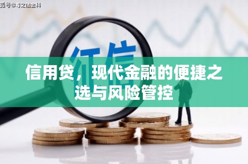 武陵源信用贷，现代金融的便捷之选与风险管控