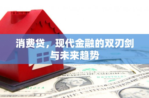 武陵源消费贷，现代金融的双刃剑与未来趋势