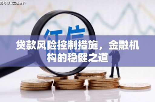 武陵源贷款风险控制措施，金融机构的稳健之道