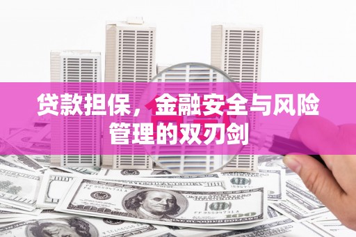 武陵源贷款担保，金融安全与风险管理的双刃剑