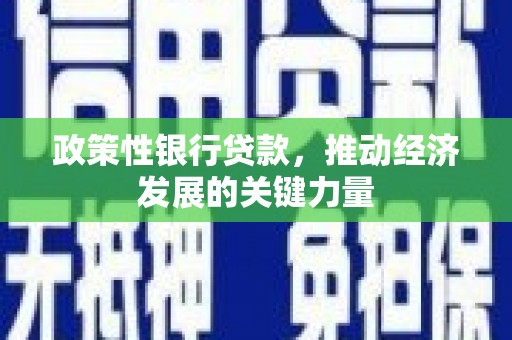 武陵源政策性银行贷款，推动经济发展的关键力量