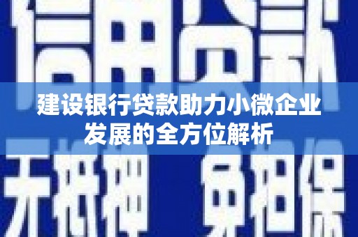 武陵源建设银行贷款助力小微企业发展的全方位解析