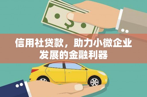 武陵源信用社贷款，助力小微企业发展的金融利器