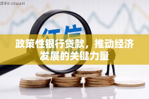 武陵源政策性银行贷款，推动经济发展的关键力量