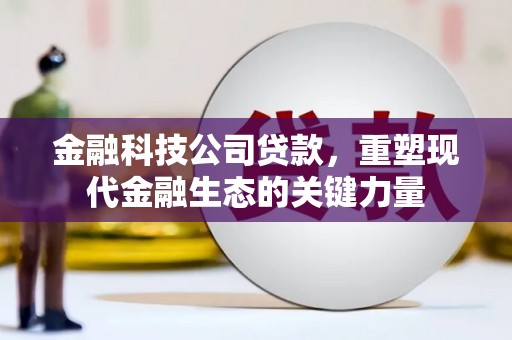 武陵源金融科技公司贷款，重塑现代金融生态的关键力量