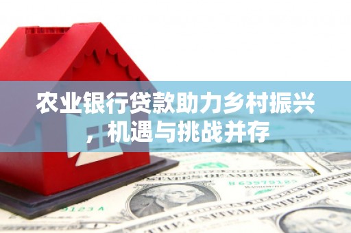 武陵源农业银行贷款助力乡村振兴，机遇与挑战并存