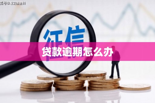 武陵源贷款逾期怎么办