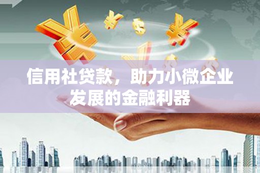 武陵源信用社贷款，助力小微企业发展的金融利器