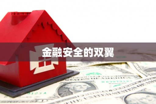 武陵源金融安全的双翼