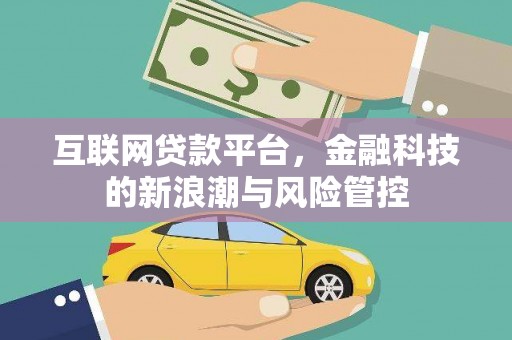 武陵源互联网贷款平台，金融科技的新浪潮与风险管控