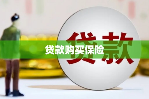 武陵源贷款购买保险