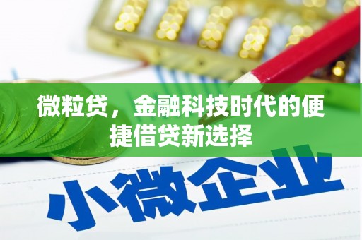 武陵源微粒贷，金融科技时代的便捷借贷新选择