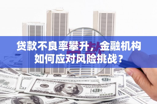 武陵源贷款不良率攀升，金融机构如何应对风险挑战？