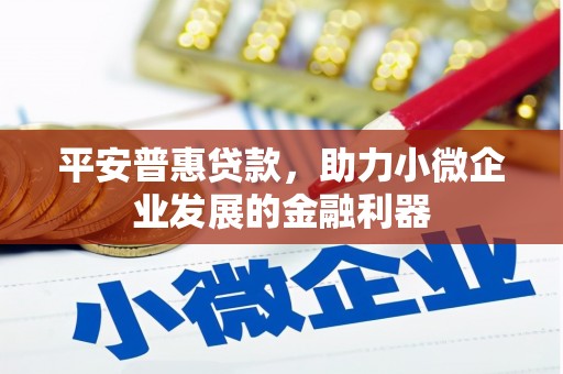 武陵源平安普惠贷款，助力小微企业发展的金融利器