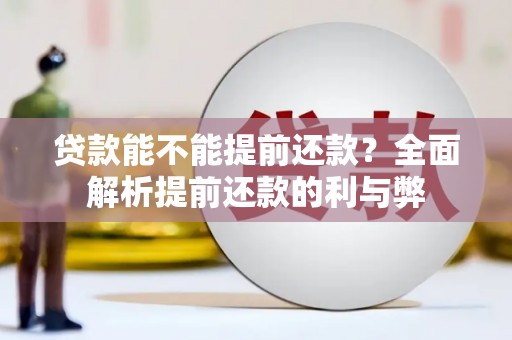 武陵源贷款能不能提前还款？全面解析提前还款的利与弊