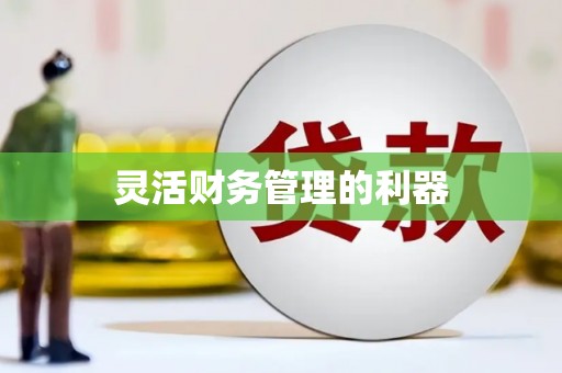 武陵源灵活财务管理的利器