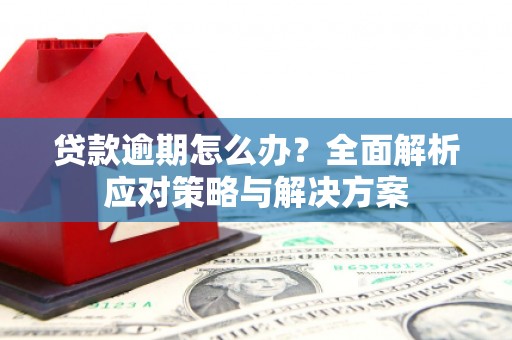 武陵源贷款逾期怎么办？全面解析应对策略与解决方案