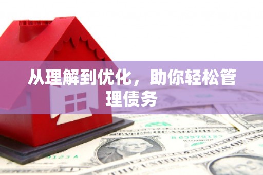 武陵源从理解到优化，助你轻松管理债务