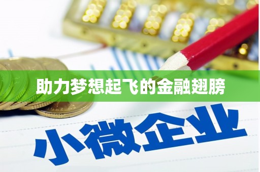 武陵源助力梦想起飞的金融翅膀