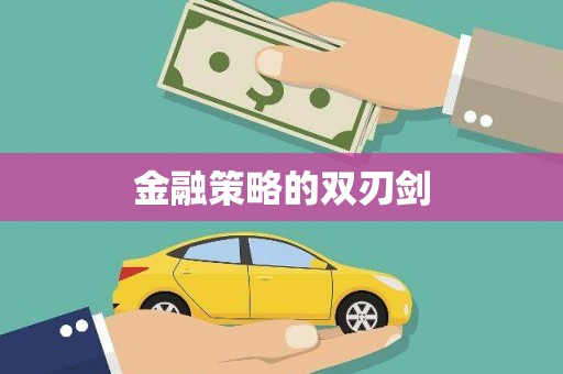 武陵源金融策略的双刃剑