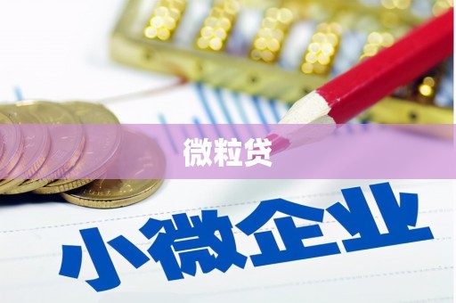 武陵源微粒贷