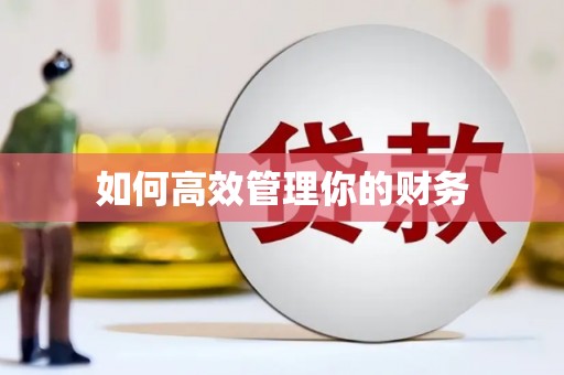 武陵源如何高效管理你的财务