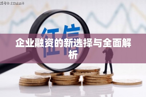 武陵源企业融资的新选择与全面解析