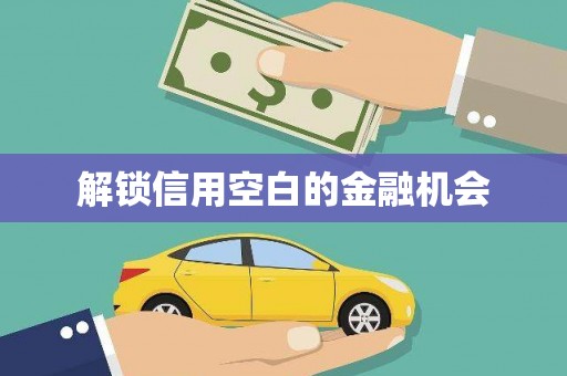 武陵源解锁信用空白的金融机会