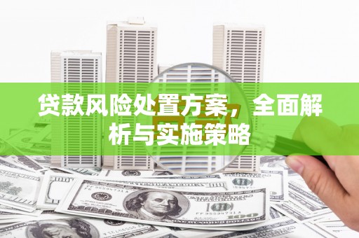 武陵源贷款风险处置方案，全面解析与实施策略